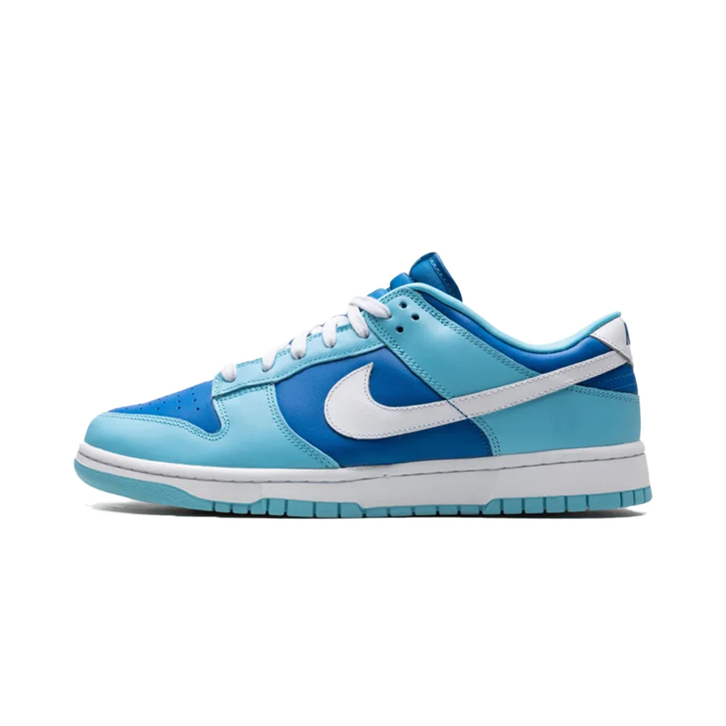 Nike Dunk Low Retro Argon