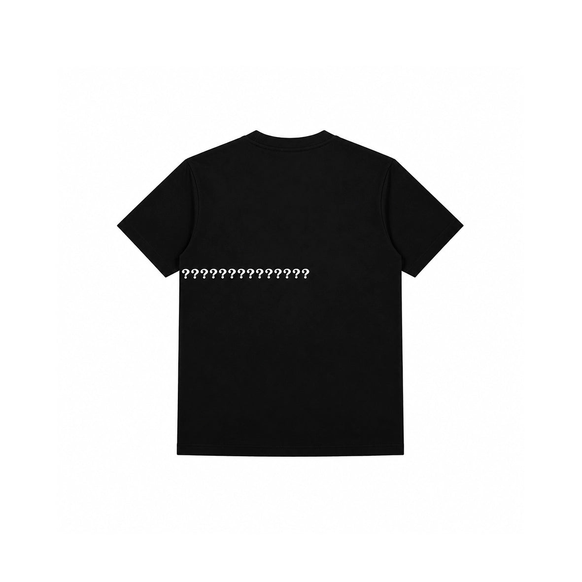 NO SIGNAL ? 无信号 T-Shirt (W) Black
