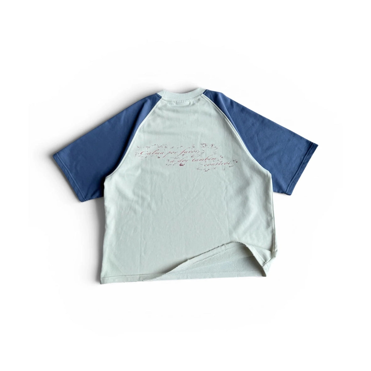 STEEZY Double Favela T-Shirt White Blue