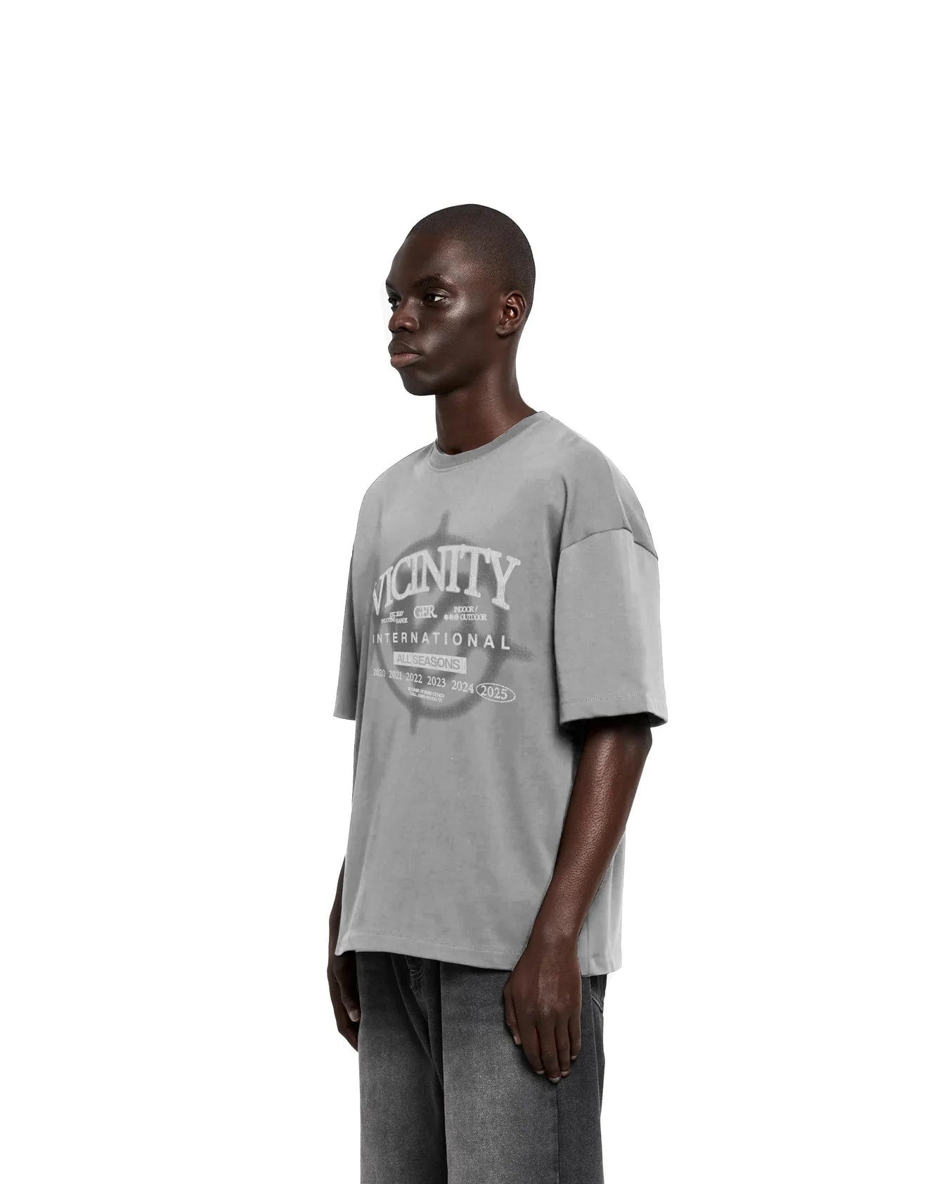VICINITY All Seasons T-Shirt Grey